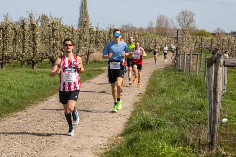 Bloesemrun 2026 foto 26