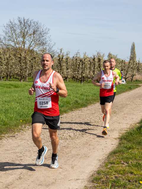 Bloesemrun 2026 foto 27