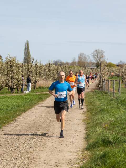 Bloesemrun 2026 foto 31