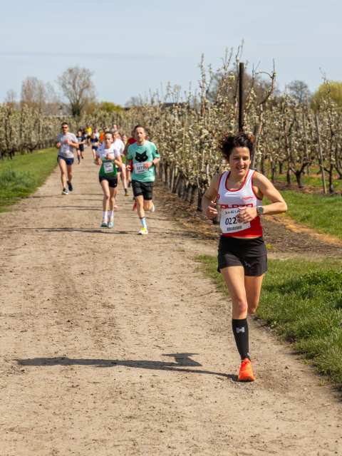 Bloesemrun 2026 foto 34