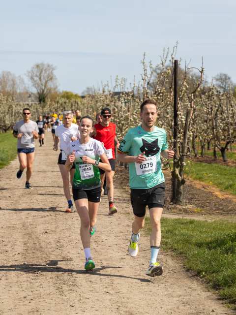 Bloesemrun 2026 foto 35