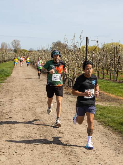 Bloesemrun 2026 foto 37