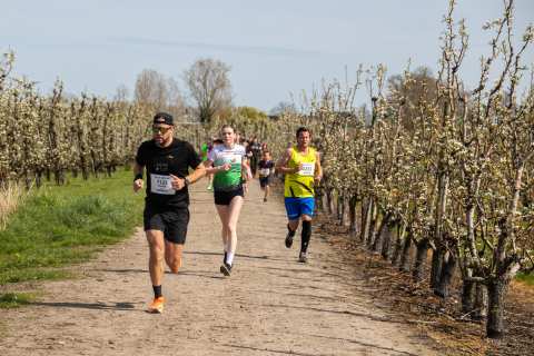 Bloesemrun 2026 foto 38