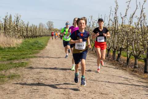 Bloesemrun 2026 foto 39