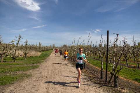 Bloesemrun 2026 foto 40
