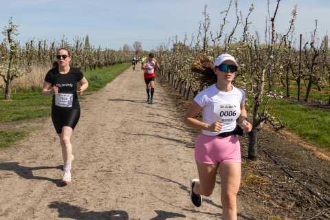 Bloesemrun 2026 foto 46