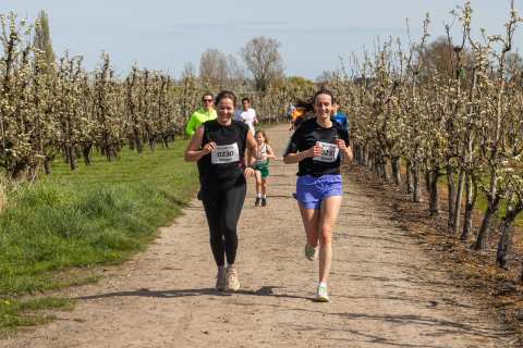 Bloesemrun 2026 foto 47