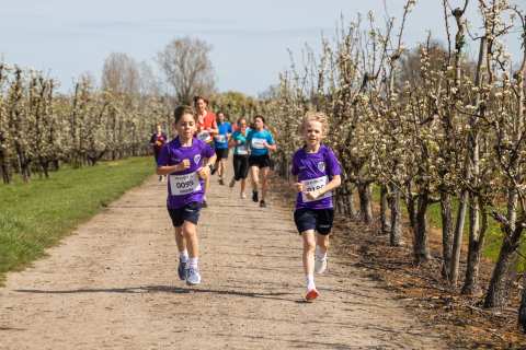 Bloesemrun 2026 foto 49