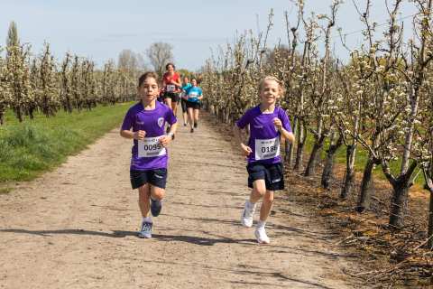 Bloesemrun 2026 foto 50