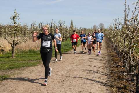 Bloesemrun 2026 foto 53