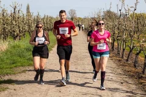 Bloesemrun 2026 foto 69